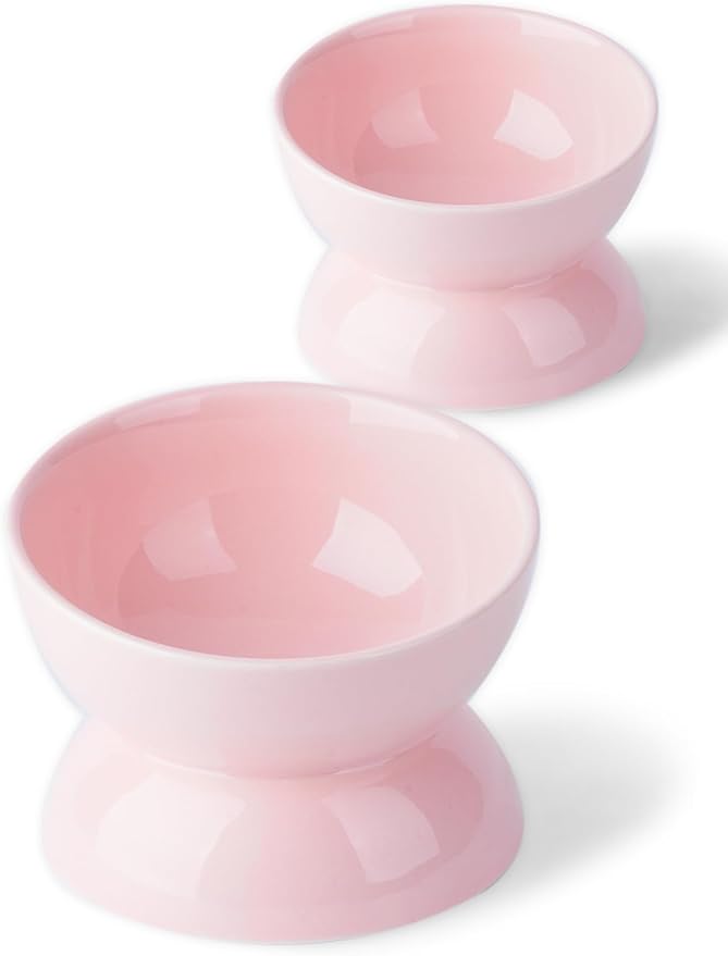 Cat Water Bowl, 16 OZ Ceramic Elevated Cat Bowls, 15° Tilted and Raised Pet Food Dish, Anti Vomiting Protect Pets' Spines and Whisker Fatigue