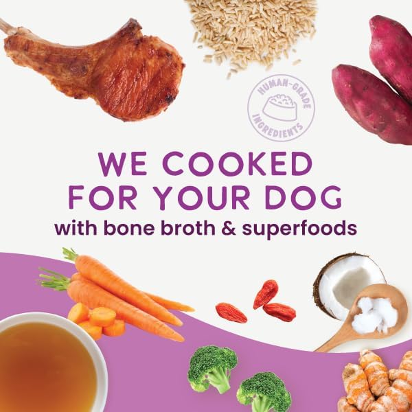 Health Extension Gently Cooked Lamb & Carrot Dog Food, Human-Grade & Shelf-Stable with Superfoods, Supports Digestion, Immunity, Skin & Coat, 9 oz Pouch (Pack of 10)