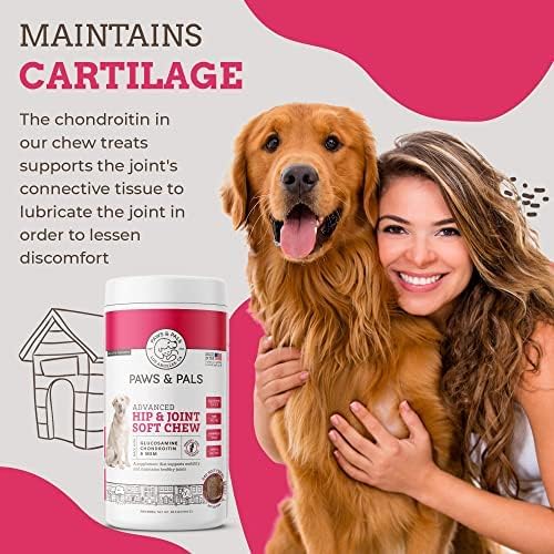 Paws & Pals Glucosamine Chondroitin MSM for dogs 240 Count, Hip and Joint Mobility Soft Chews Supplement, Pain & Inflammation Relief for all breeds - Maximum Strength, Treats Hip Dysplasia & Arthritis
