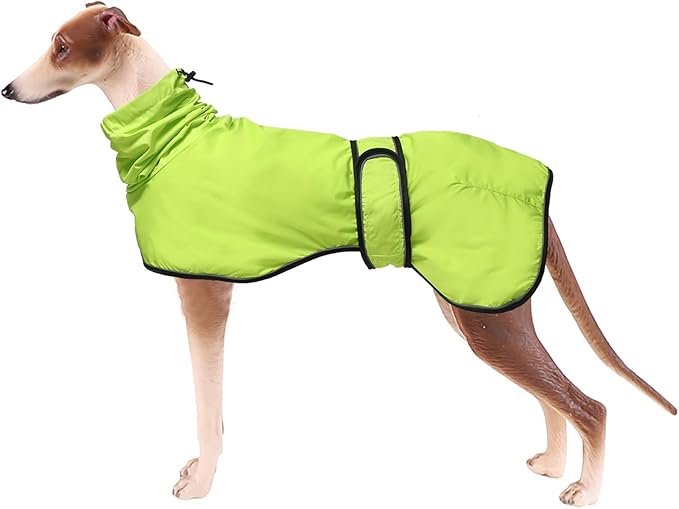 Dog Raincoat with Reflective Bar, Rain/Water Resistant, Adjustable Vest - Dog Raincoats for Greyhounds, Lurchers and Whippets - Light Green - XXL