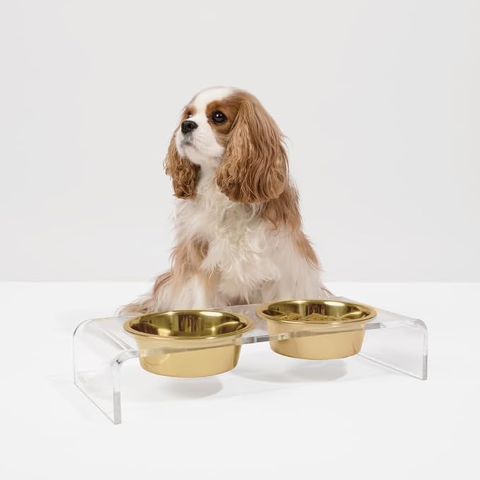 Hiddin Double Elevated Dog Bowl Stand for Small or Medium Dogs, All Breeds, Clear Acrylic 3.5 Inch Raised Dog Bowl Stand with Two Gold Stainless Steel Bowls for Food and Water - 1.5 Cups Each Dish