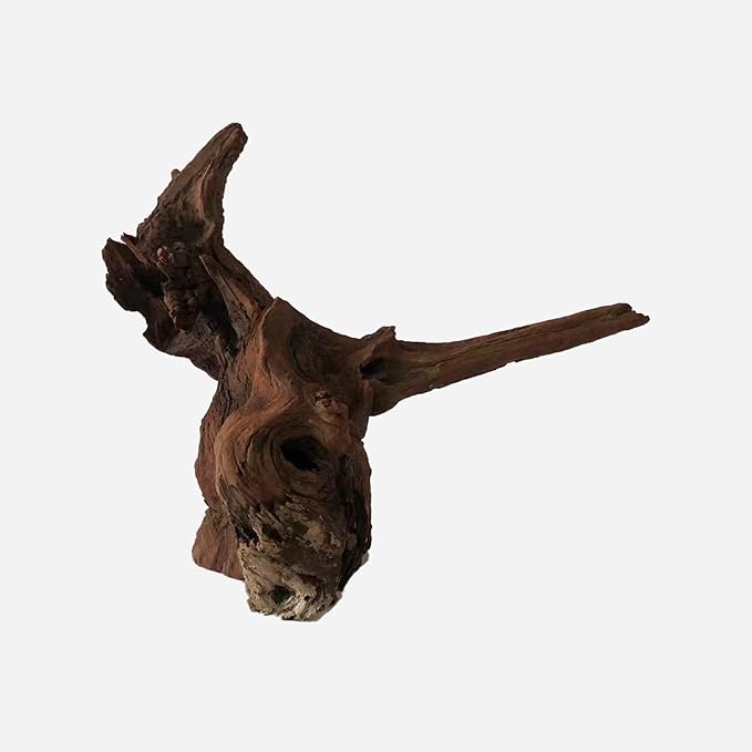 LYPHARD AQUARIUMS Natural Driftwood for Aquarium Decor, L11.02×W14.57×H12.99 Inches Large Drift Wood Decorations for Reptile Hide, Fish Tank, Optional Shapes