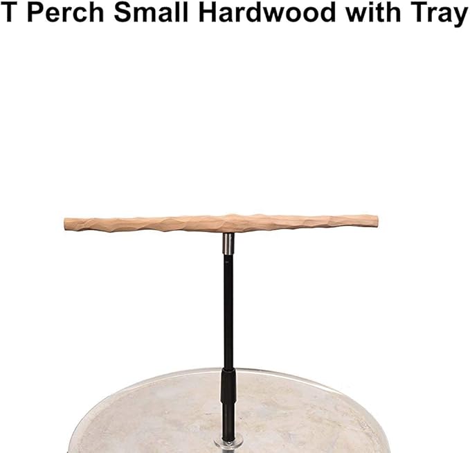 Parrot Training Perch Stand with Potty Tray (T Perch Hardwood, Small)