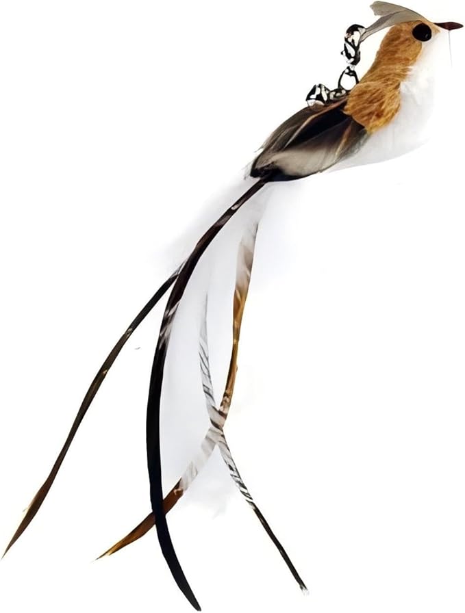 Deluxe Bird Replacement Heads for Cat Toys - Set of 5 - Realistic Feather Designs Including Blue Floral, Two-Tone, Traditional, Black & White, Green Hummingbird - Easy Clip-On