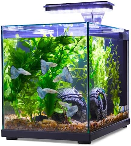 Imagitarium Glass Versa Aquarium 6.6 Gallons