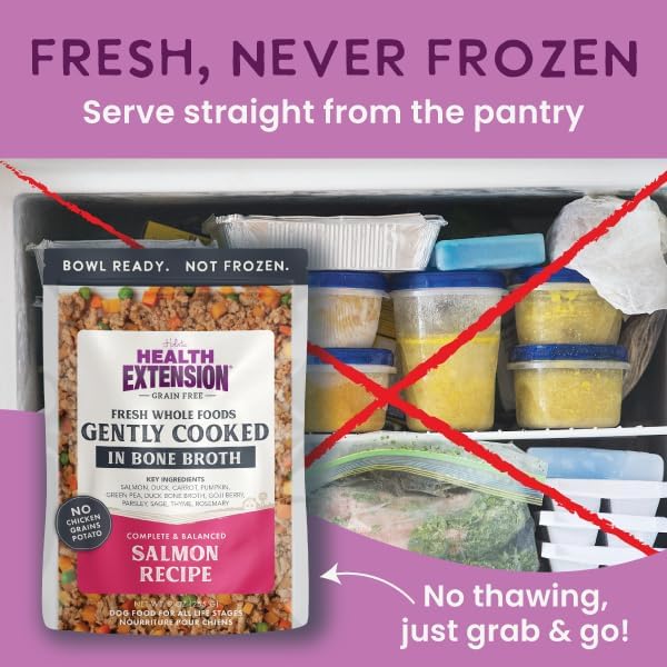 Health Extension Gently Cooked Grain-Free Salmon Dog Food, Human-Grade & Shelf-Stable with Superfoods, Supports Digestion, Immunity, Skin & Coat, 9 oz Pouch (Pack of 10)