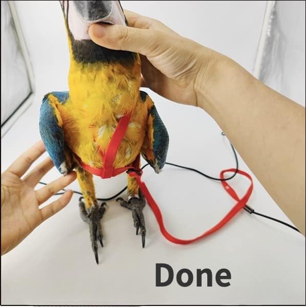 Adjustable Bird Harness with 78.7 Inch Leash, Outdoor Flying Training Rope Kit for Bird Parrots, Parrot Flying Rope Straps Outdoor Training Traction Rope for Small Medium Large Size Birds (XL)