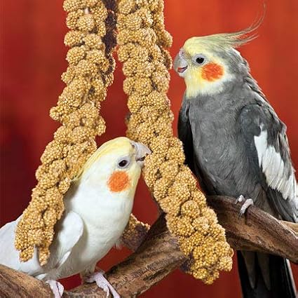 Nemeth Farms Worlds Freshest GMO-Free, Sun Dried Spray Millet No Stems Only Edible - Tops-Original Bird Treat and Supplement for Pet Birds Parakeets, Cockatiels, Lovebirds and Finches - 5lbs