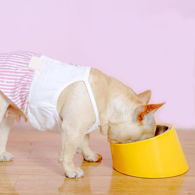 15° Tilted Elevated Dog Bowl, Non-Slip No-Spill Stainless Steel Pet Feeder, Detachable 2-in-1 Easy Access Food & Water Dish for Medium Dogs and Cats, Anti-Choke, Black (Size M)