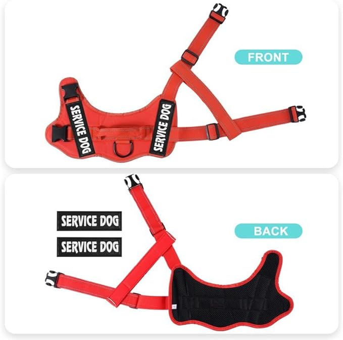 Custom Personalized No Pull Dog Harness with ID Name Phone Number and Rope Dog Leash Set, Heavy Duty Reflective Easy On Pet Vest Harness for X-Small Small Medium Large X-Large Dogs