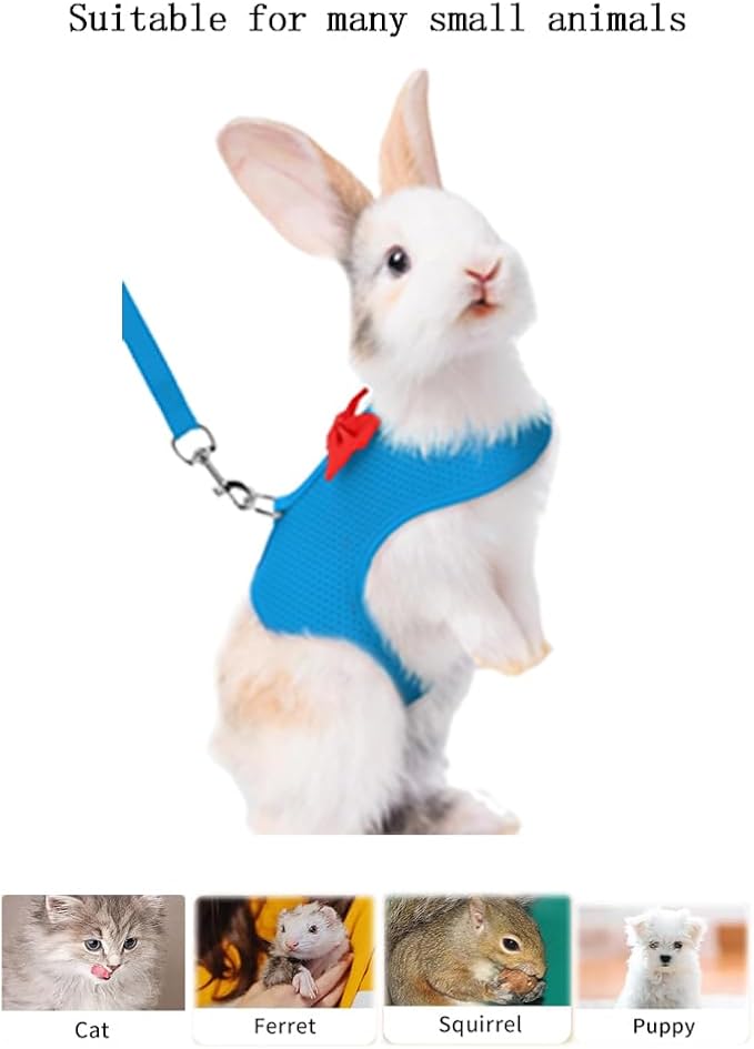 Rabbit Leash and Harness Set for Walking Escape Proof,Mesh Breathable Adjustable Bunny Leash Camping Hiking Training for Ferret Kitten Puppy Blue S Young Rabbit 1-3 Months