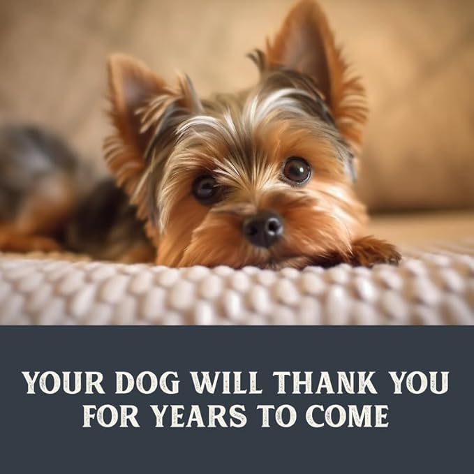 Health Extension Gently Cooked Dog Food Variety Pack – Chicken & Pumpkin, Beef & Potato, Lamb & Carrot – 9 oz Each – Human-Grade Superfood Meals for Digestion, Immunity & Coat Health (Pack of 3)