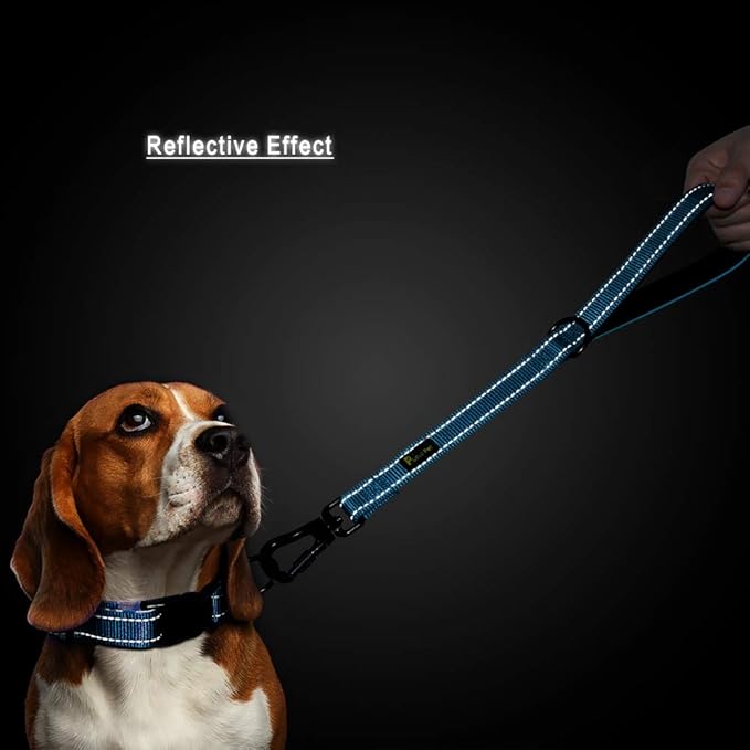 PLUTUS PET Short Training Dog Leash with Padded Handle for Medium Large Big Dogs,18 Inch Heavy Duty Strong Traffic Leash with Carabiner Clip for Climbing Walking or Guiding Blind（18”，Blue