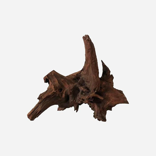 LYPHARD AQUARIUMS Natural Driftwood for Aquarium Decor, L13.78×W7.87×H11.81 Inches Large Drift Wood Decorations for Reptile Hide, Fish Tank, Optional Shapes