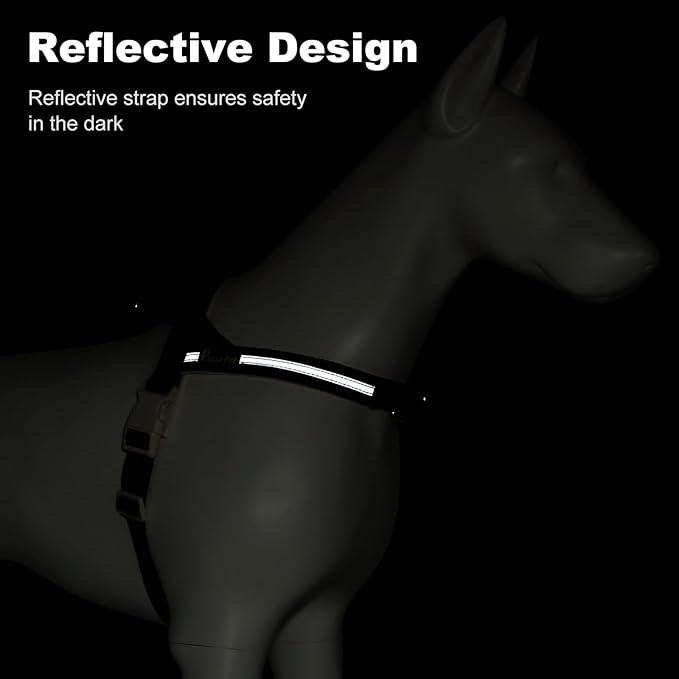 Plutus Pet Cotton Dog Harness and Leash Set, Reflective and Soft Padded, Quick Fit Vest Harness, for Small, Medium and Large Dogs, Light Cyan, L