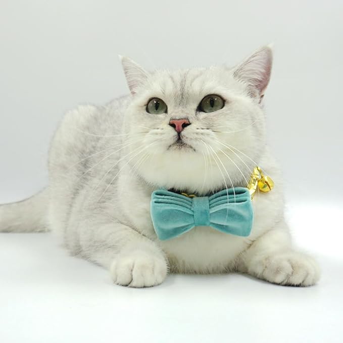 Personalized Cat Collar with Name Tag & Bells,Optional Bow-tie,Colorful Cute Cat Collars for Boys Cats, Soft Durable Custom Kitten Collars for Small Large Cats (Light Green)