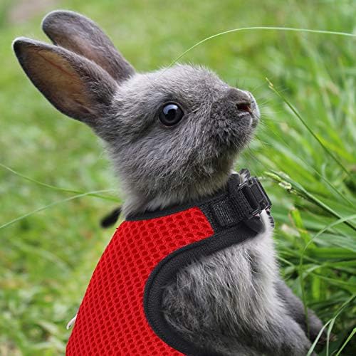 2 Pieces Bunny Rabbit Harness with Leash Cute Adjustable Buckle Breathable Mesh Vest for Kitten Puppy Guinea Pig Small Pets Walking (Black, Red, L)