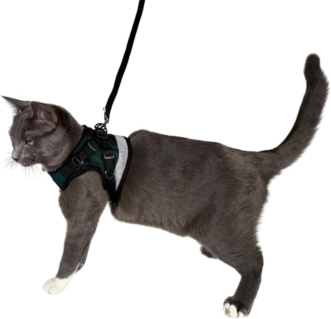 Travel Cat The Emerald Explorer Limited Edition Green Harness and Leash Set - Adjustable Fit Mesh Cat Harness with Reflective Strap - Escape Proof Harness for Cats, Kitten (Emerald, Small)