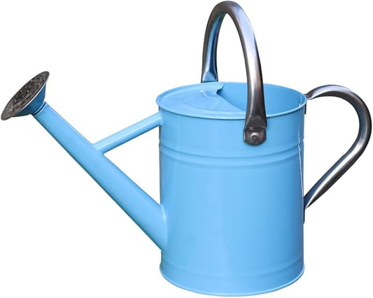 Metal Watering Can, One Gallon Watering Cans Stainless Steel for Outdoor Indoor Garden Plants Watering (Stainless Steel Handle Blue)
