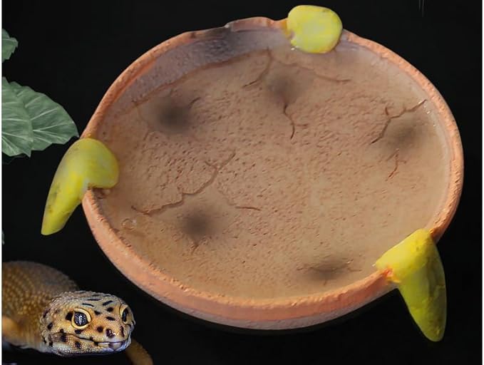 Food/Water Dish for Reptiles, Amphibians and Other Little Critters Water/Food Bowl, Made from Premium Resinl, Reptile Feeding Bowls for Bearded Dragon Lizard,Hermit Crab,Gecko,Tortoise,Frog
