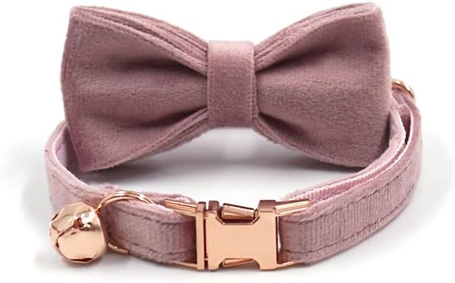Personalized Cat Collar with Bells,Velvet Customized Small Cat Collar with Name Tag,Pet Collar with Name Phone Number Engraved ID Tags for Boy and Girl Kitten Cats (Champagne Powder)