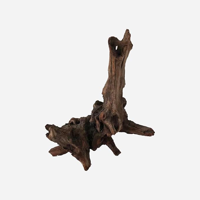 LYPHARD AQUARIUMS Natural Driftwood for Aquarium Decor, L12.2×W12.99×H13.78 Inches Large Drift Wood Decorations for Reptile Hide, Fish Tank, Optional Shapes