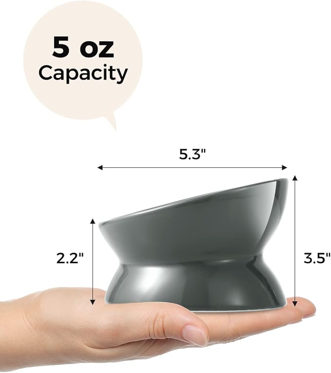 LoeJan Elevated Cat Food Bowl, 5 Oz Ceramic Raised and Tilted Water Bowl, Anti Vomiting and Protect Pets' Spines Dishes for Small Dog, Fat Faced Cat, Kitten (Gray, 1 Pack)