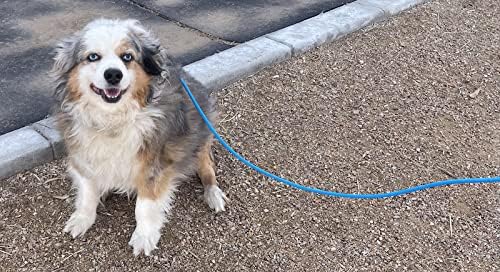 Mini Pig Harness & Leash -Adjustable- 12' in Length -Also fits Pot Bellied Pigs and Other Animals - Ferrets, Rabbits, Dogs, Cats (Blue)
