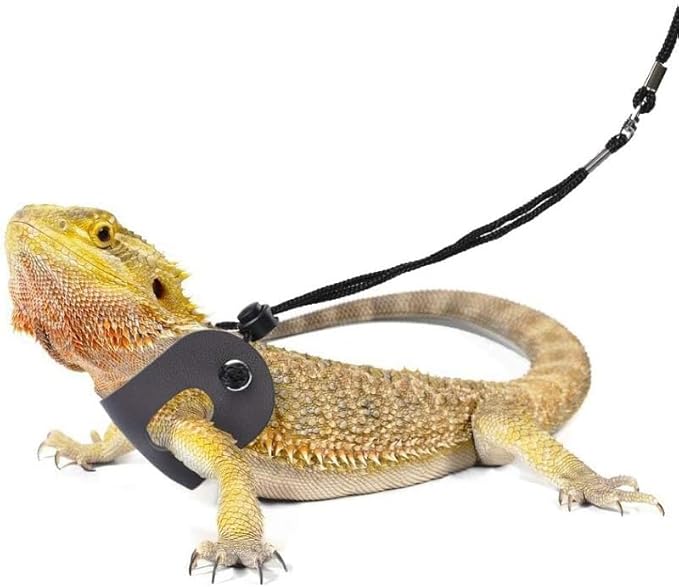 Small Animal Sling Carrier,Small Animal Bag for Bearded Dragons Lizards and Reptile with Adjustable Strap Tow Rope 3 Sizes Pack + Small Animal Sling Carrier（Grey）