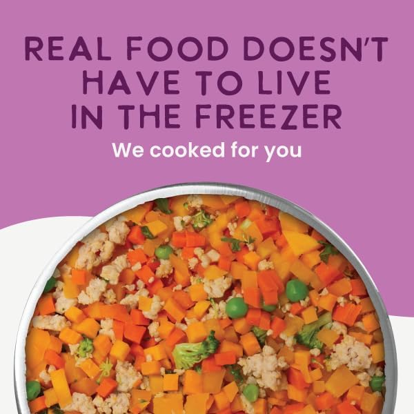 Health Extension Gently Cooked Grain-Free Vegetarian Formula Dog Food, Human-Grade & Shelf-Stable with Superfoods, Supports Digestion, Immunity, Skin & Coat, 3 oz Pouch (Pack of 10)