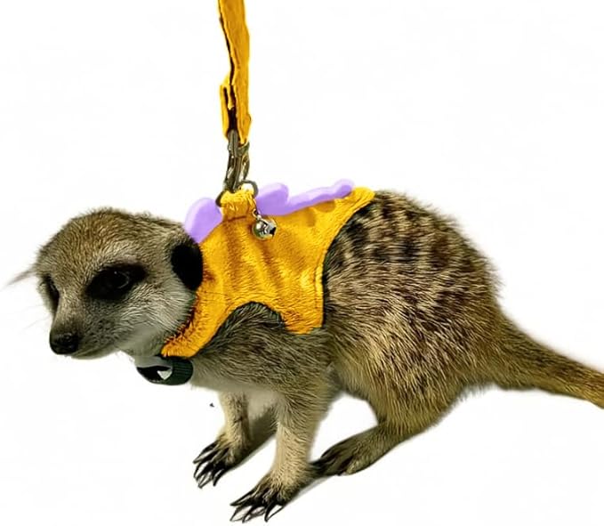 Ferret Leash and Harness Set, Dinosaur Design Small Animal Harness with Leash, Adjustable & Escape-Proof, Soft Plush Comfort for Rabbits, Kitten, Bunny, Hedgehog (Yellow)