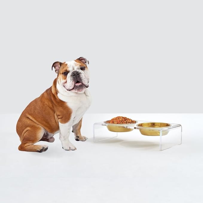 Hiddin Double Elevated Dog Bowl Stand for Small or Medium Dogs, All Breeds, Clear Acrylic 3.5 Inch Raised Dog Bowl Stand with Two Gold Stainless Steel Bowls for Food and Water - 1.5 Cups Each Dish