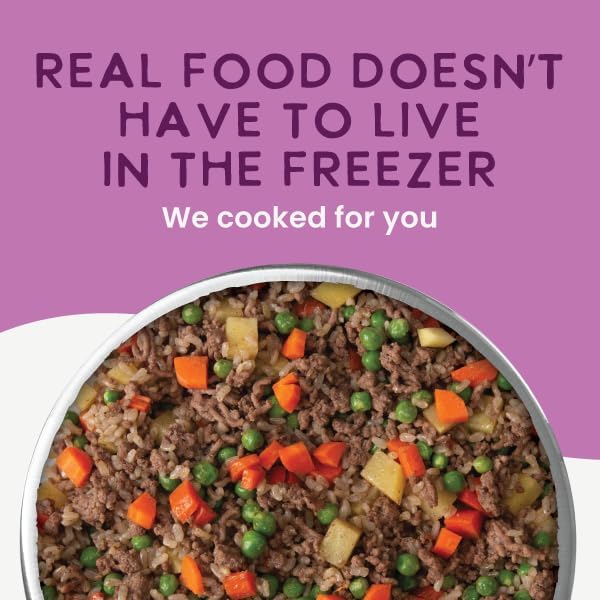 Health Extension Gently Cooked Beef & Potato Dog Food, Human-Grade and Shelf-Stable with Superfoods, Supports Digestion, Immunity, Skin & Coat, 9 oz Pouch (Pack of 10)