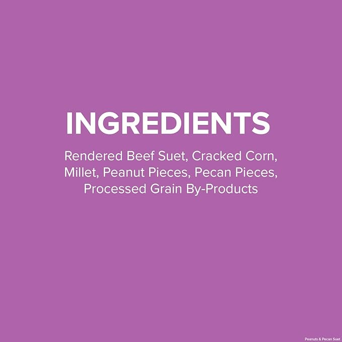 Blue Seal Peanuts & Pecans Suet Cake | Suet Cakes for Wild Birds | Melt Resistant | Year-Round Feeding | Food for Wild Birds | Made in The USA | 12 oz Suet Cakes (12 Pack)