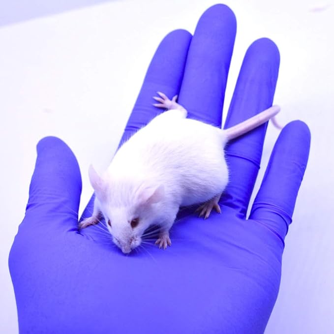 MiceDirect Frozen Mice Combo Pack of 20 Weanling & Small Adult Feeder Mice – 10 Weanlings & 10 Small Adults - Food for Corn Snakes, Ball Pythons, & Pet Reptiles - Snake Feed Supplies