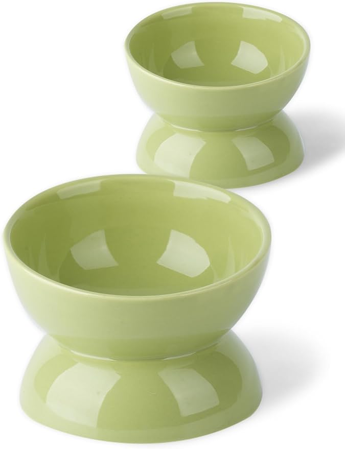 Cat Water Bowl, 16 OZ Ceramic Elevated Cat Bowls, 15° Tilted and Raised Pet Food Dish, Anti Vomiting Protect Pets' Spines and Whisker Fatigue