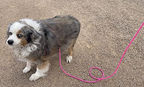 12-Foot Mini Pig Harness - Adjustable Harness & Leash for All Animals - Pigs, Ferrets, Rabbits, Guinea Pigs, Dogs, Cats, Reptile, and Chickens