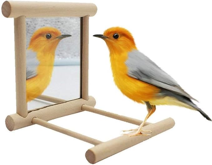 Bird Mirror Wooden Hanging Swing Interactive Play Toys for Small Parrot Budgies Macaw African Grey Parakeet Cockatiel Conure Lovebird Cage Accessories (Bird Mirror Perch Stand-2 PCS)