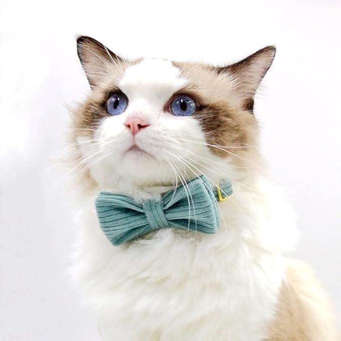 Personalized Cat Collar with Engraved Name and Phone Number - Customizable Kitten Collars for Boys and Girls (Stripe Velvet)