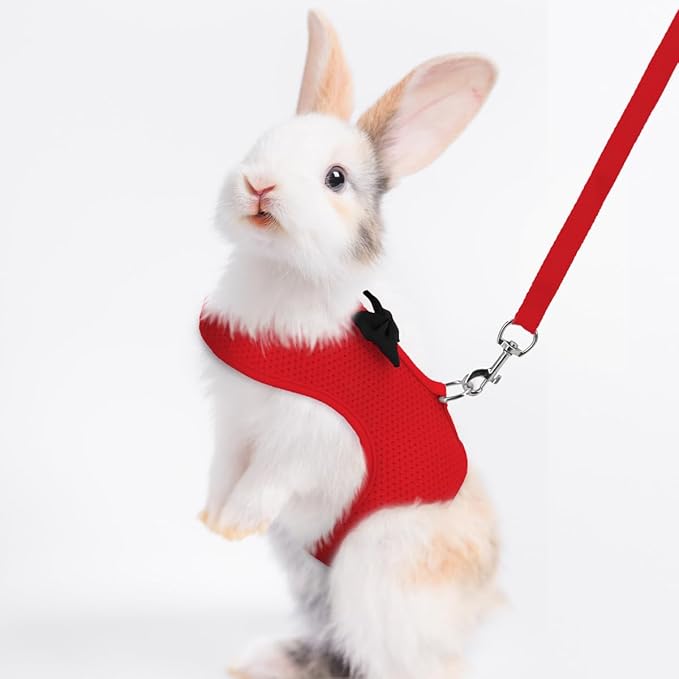 Bunny Harness and Leash Set for Walking Escape Proof,Mesh Breathable Adjustable Bunny Harness Camping Hiking Training for Ferret Kitten Puppy Red L (Chest:13.3-14.5")
