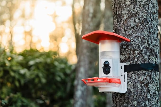 Smart Hummingbird Feeder: AI Bird ID, Wi-Fi and Solar Power, Stunning HD Images and Videos are Sent Directly to Your Phone, Easy to Clean and Hang - Best Smart Hummingbird Feeder