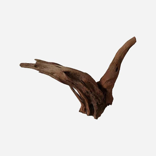 LYPHARD AQUARIUMS Natural Driftwood for Aquarium Decor, L24.02×W5.51×H16.14 Inches Large Drift Wood Decorations for Reptile Hide, Fish Tank, Optional Shapes