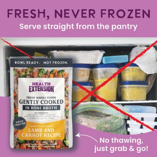 Health Extension Gently Cooked Lamb & Carrot Dog Food, Human-Grade & Shelf-Stable with Superfoods, Supports Digestion, Immunity, Skin & Coat, 9 oz Pouch (Pack of 10)
