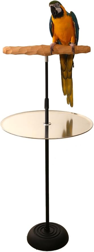 Parrot Training Perch Stand with Potty Tray (T Perch, Large)