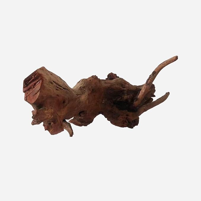 LYPHARD AQUARIUMS Natural Driftwood for Aquarium Decor, L15.75×W10.63×H7.09 Inches Large Drift Wood Decorations for Reptile Hide, Fish Tank, Optional Shapes