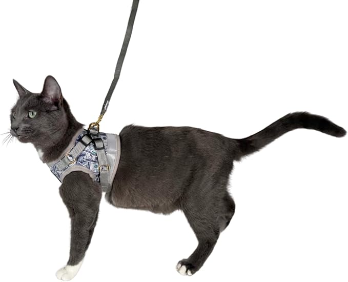 Travel Cat Harness and Leash Set - Adjustable Fit Mesh Cat Harness and Reflective Strap - Comfort Walking Vest for Kitten for Outdoor Walking, Hiking (Small, Cash)
