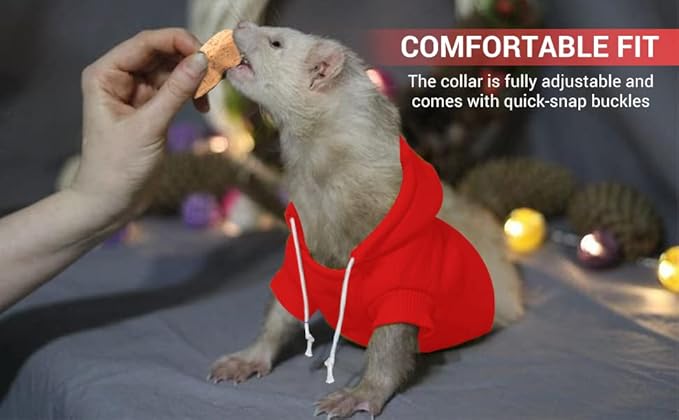 Red Ferret Sweater, Harness, and Leash Set - Ferret Clothes- Ferret Accessories - Clothes for Ferrets - Ferret Stuff - Hoodies for Ferrets - Ferret Accessories
