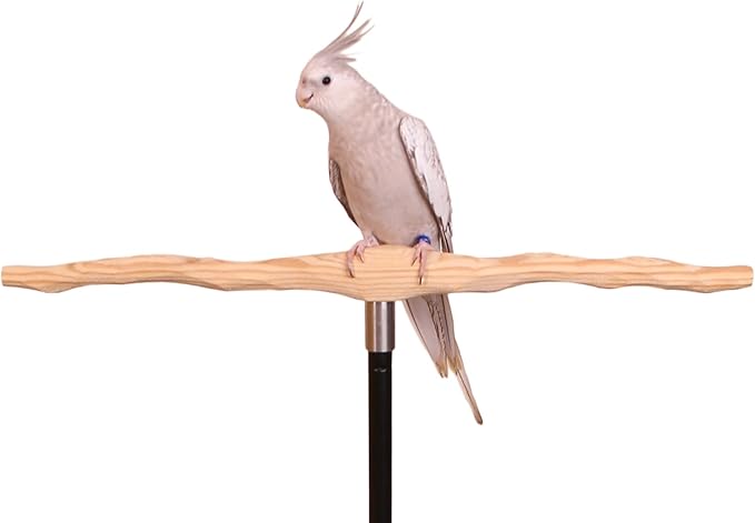 Parrot Training Perch Kit (T Perch, Small)