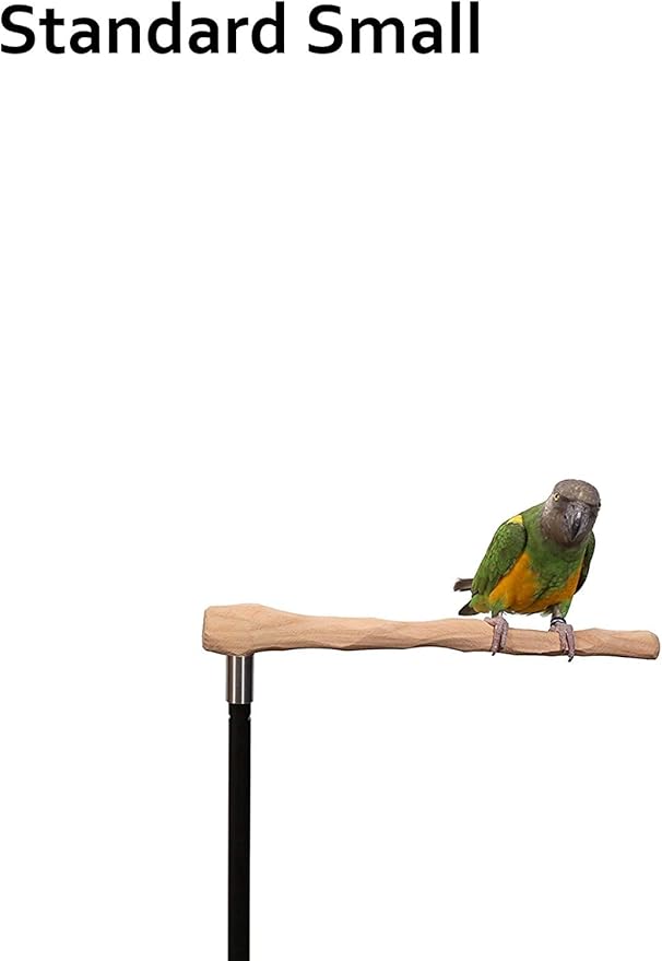 Parrot Training Perch Kit (Standard, Small)