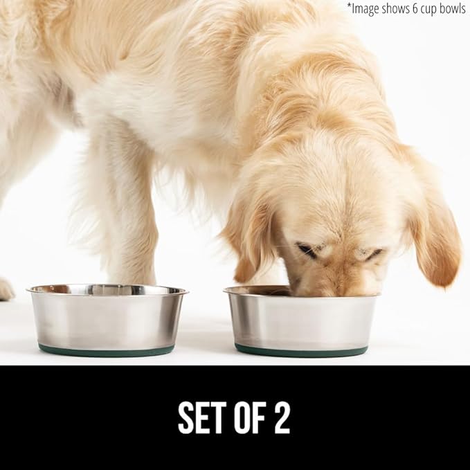 GORILLA GRIP Set of 2 Dog Bowls, Heavy Duty Metal Food and Water Bowl for Feeding Dogs and Cats, Dishwasher Safe, Rust Resistant Stainless Steel, BPA Free Rubber Base, Holds 2 Cups (16 fl oz), Green
